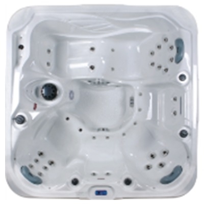 Spa DS 100