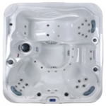 Spa DS 100