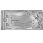 MP Force Swim Spa