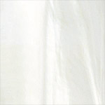 shell sterling-silver